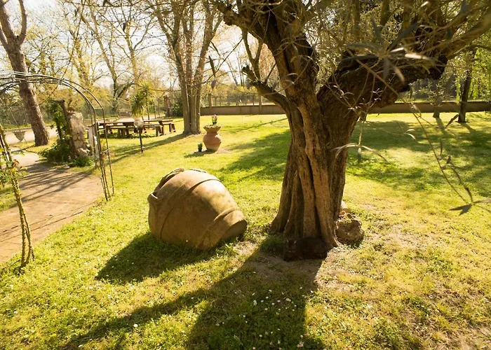 Bed & Breakfast Picchio *