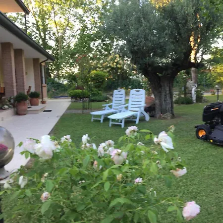 Picchio San Giuseppe (Ferrara)