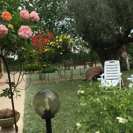 Picchio San Giuseppe (Ferrara)