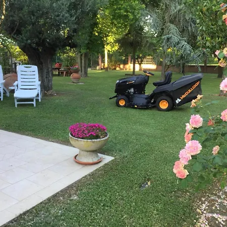 Picchio Bed & Breakfast San Giuseppe (Ferrara)
