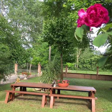 Picchio San Giuseppe (Ferrara)