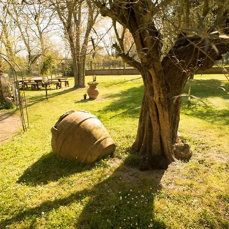 Bed & Breakfast Picchio *