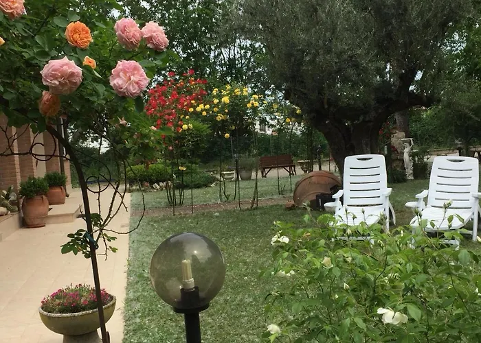 Picchio San Giuseppe (Ferrara)