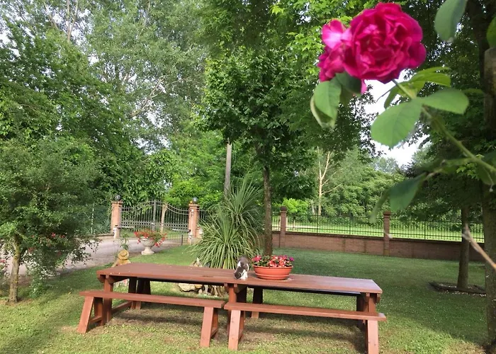 Picchio San Giuseppe (Ferrara)